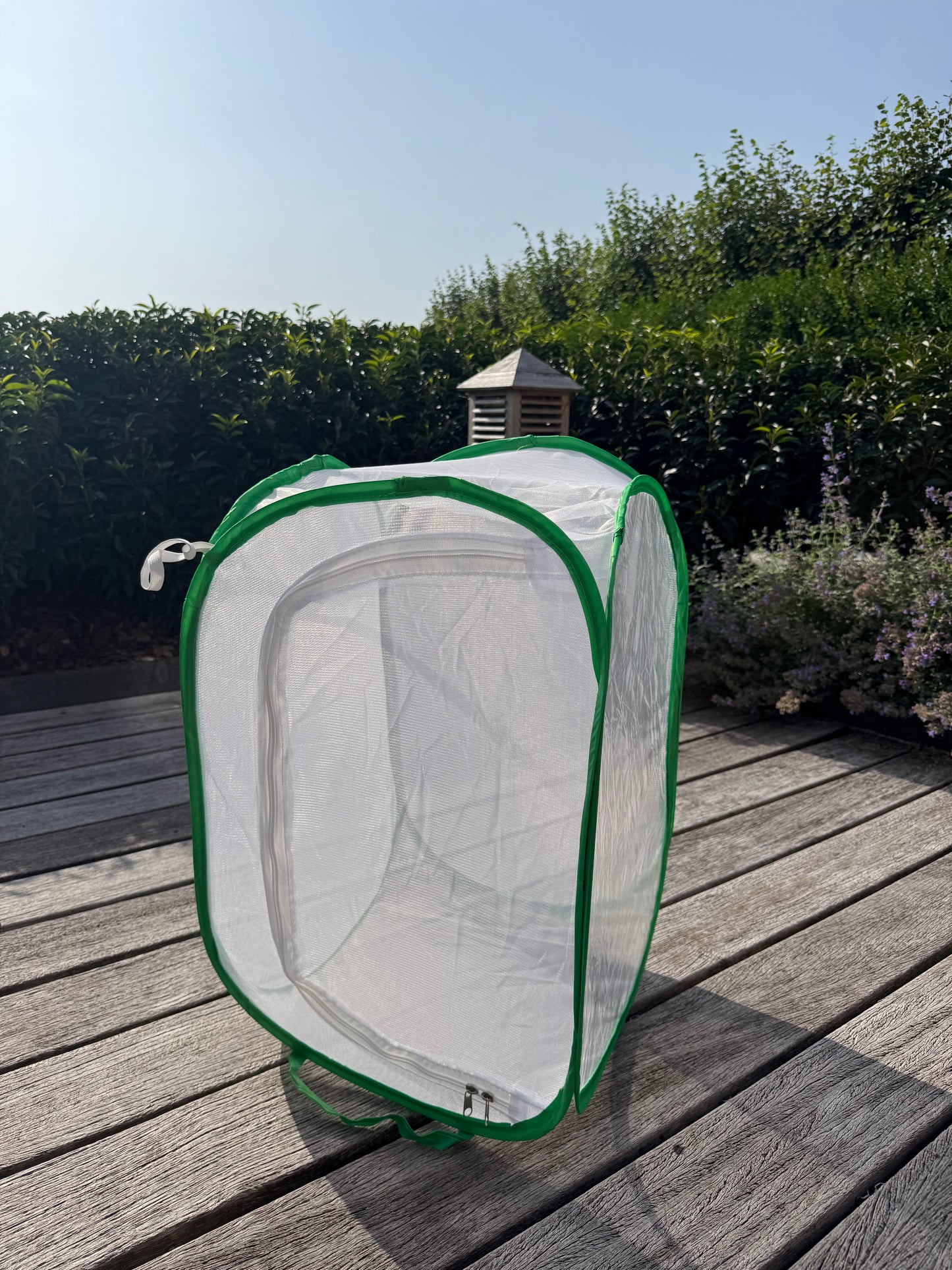 Insect breeding cage, netcage