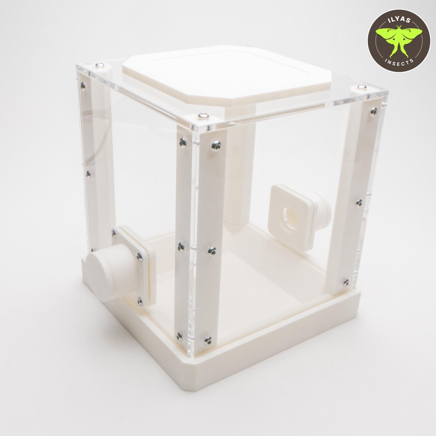 Leafcutter ant outworld/ waste chamber