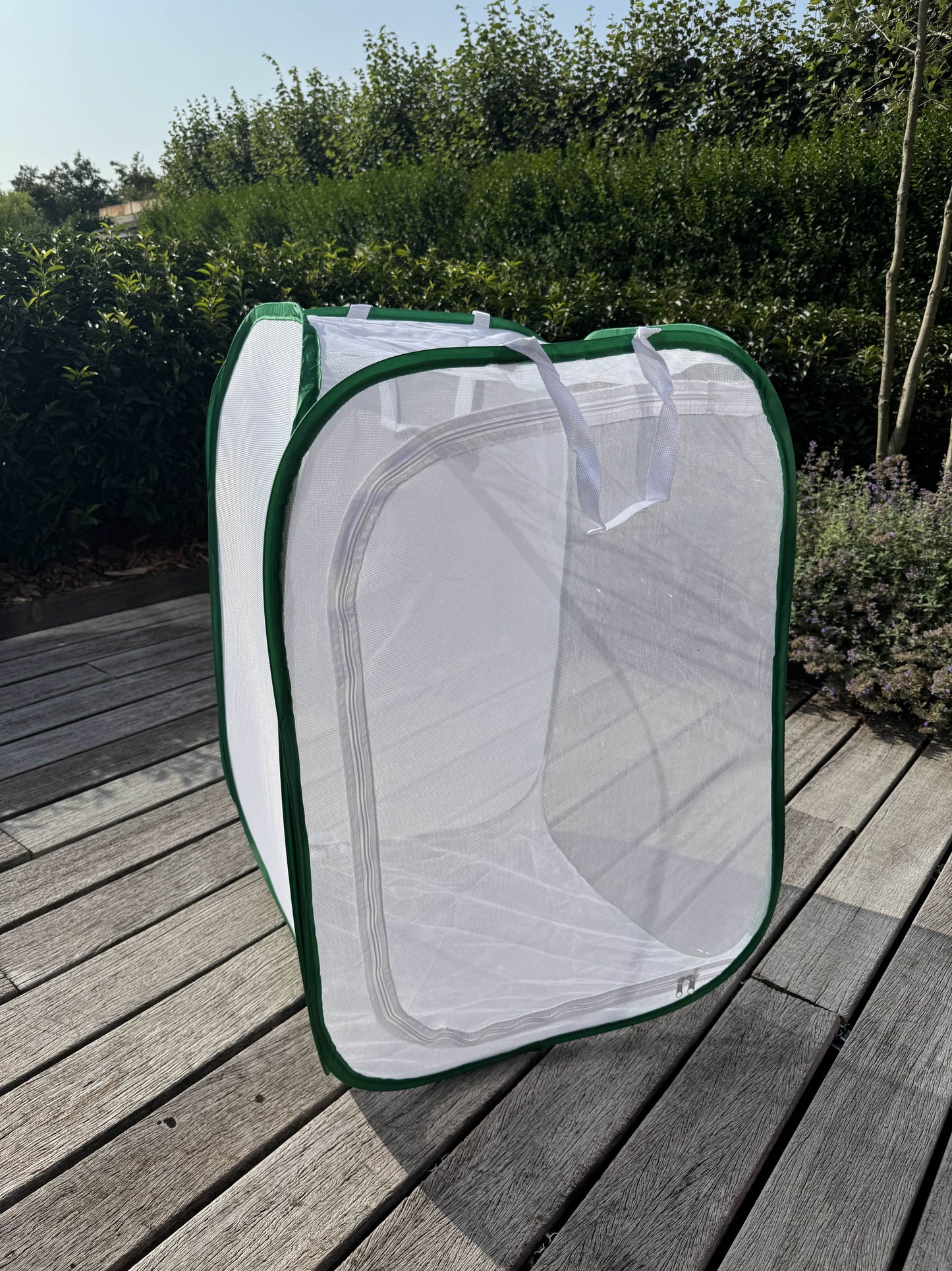 Insect breeding cage, netcage