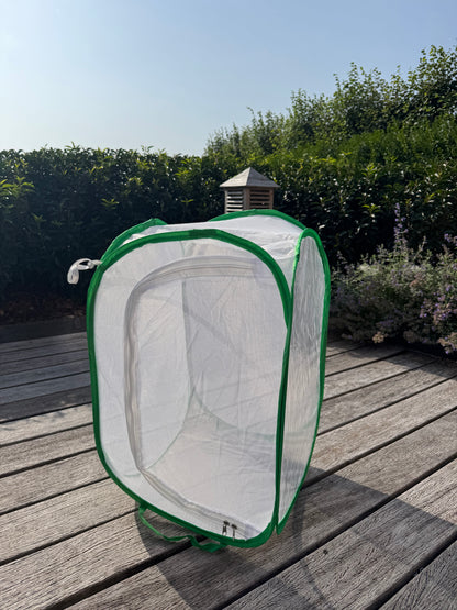 Insect breeding cage, netcage