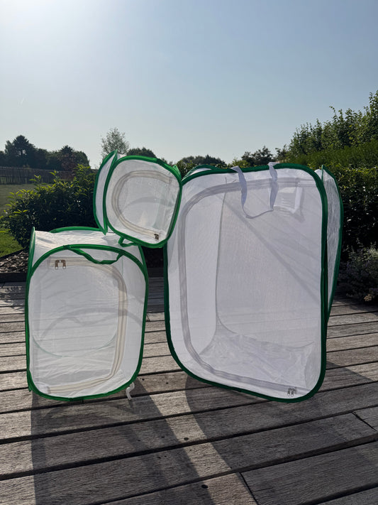 Insect breeding cage, netcage