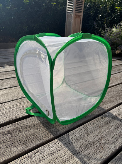 Insect breeding cage, netcage