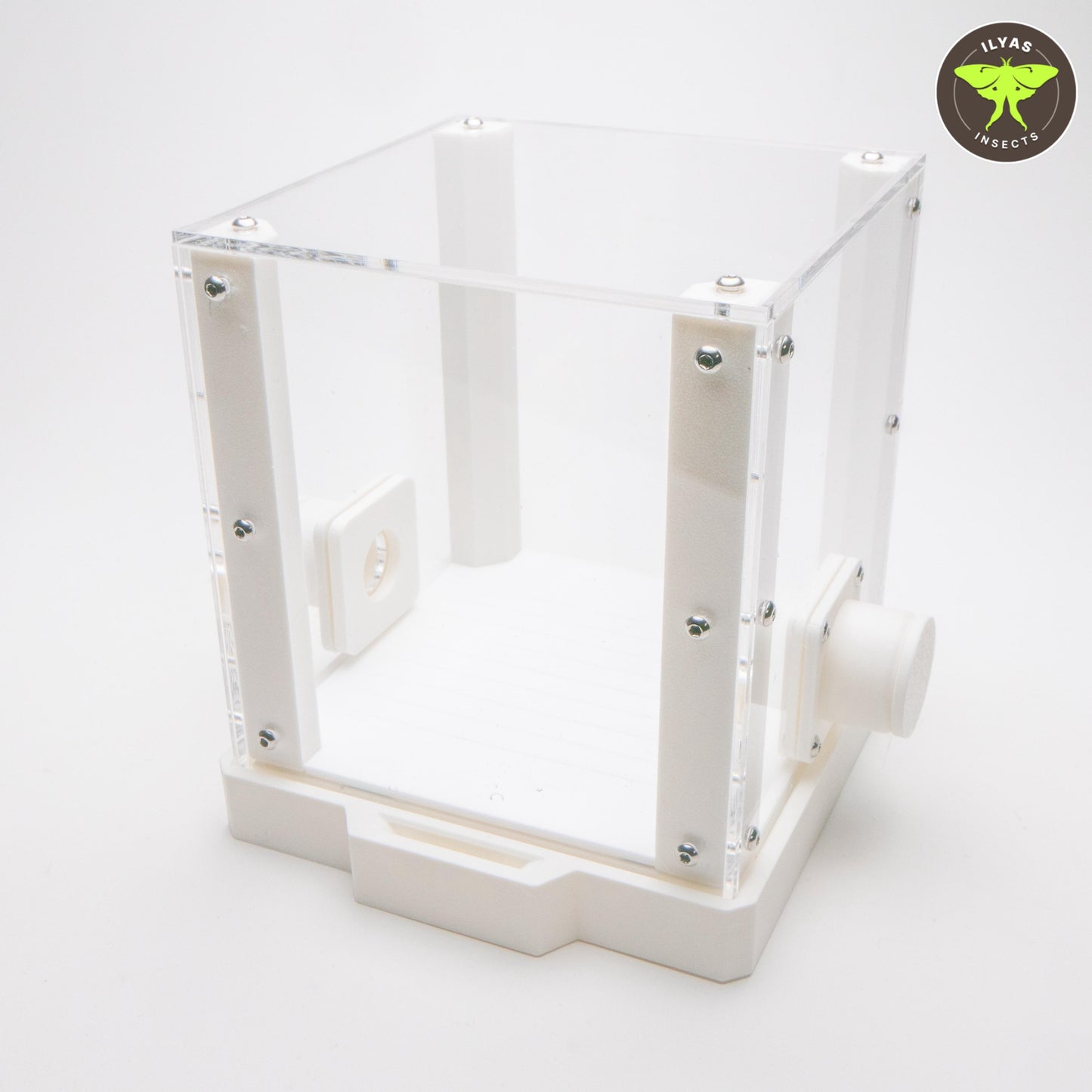 Leafcutter ant fungus chamber