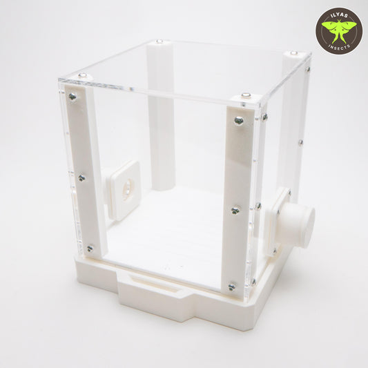 Leafcutter ant fungus chamber