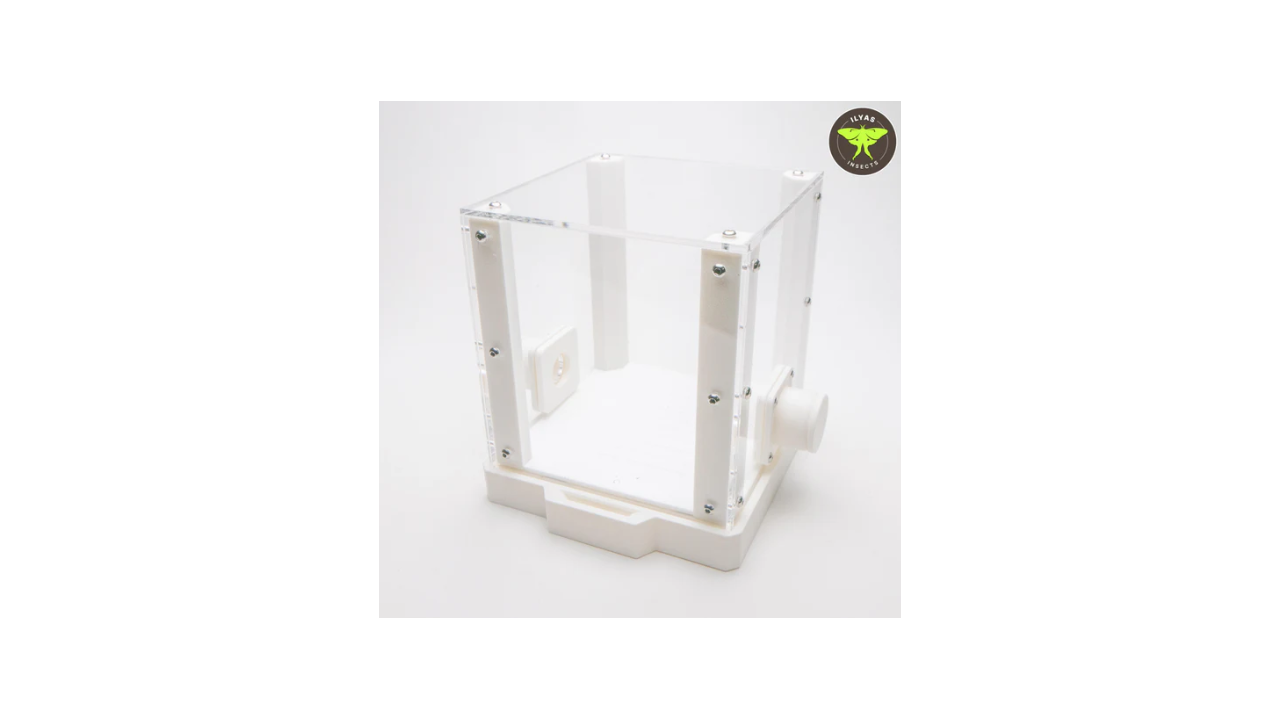 Leafcutter ant fungus chamber